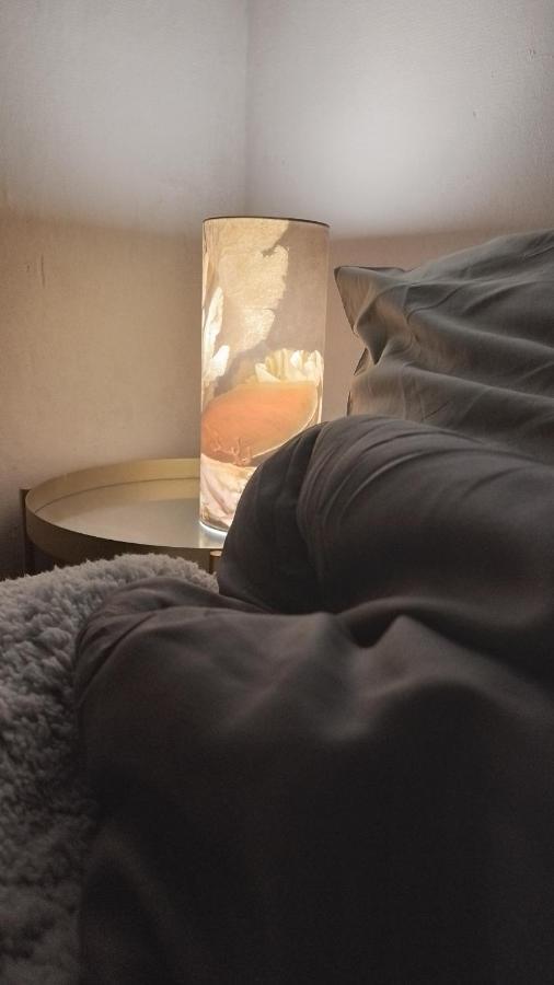 Charmante Chambre Spacieuse Et Lumineuse パリ エクステリア 写真